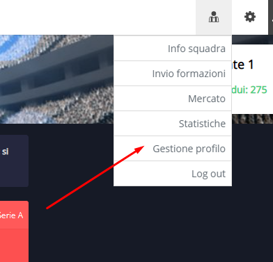 gestione_profilo.png